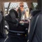 Автокресло+база CARRELLO Nova CRL-16101+CRL-16102 Grey Line i-Size 40-87см ISOFIX /1/,  код товара: CRL 16101+CRL 16102 Grey Line